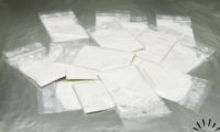 thumb couple arrested with over 18 kilos of cocaine